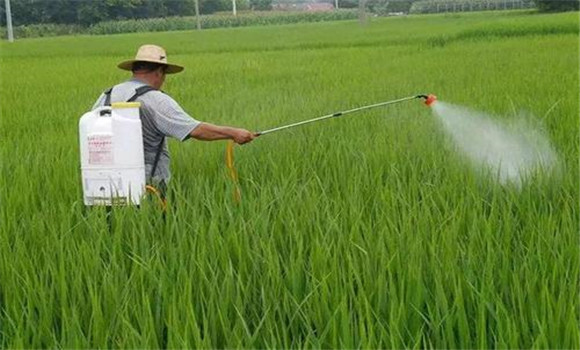 雨季施用農(nóng)藥要注意事項