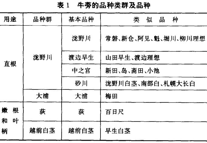 牛蒡栽培技術