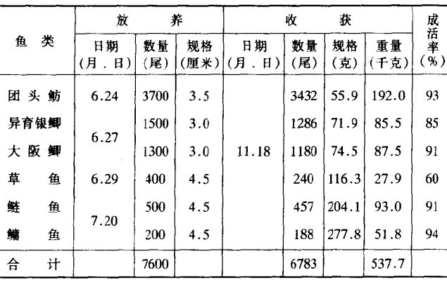 團(tuán)頭魴飼養(yǎng)方法