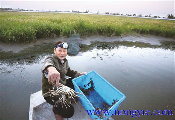 水源充足、水質(zhì)清新無污染