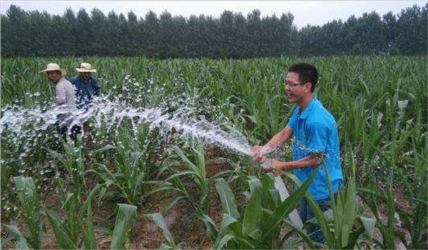 及時(shí)澆水和排灌