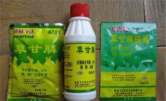 草甘膦除草劑使用范圍，使用多久能生效？