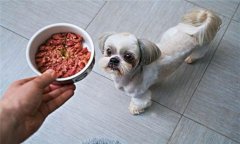 犬飼料中為何要添加鐵、銅等微量元素