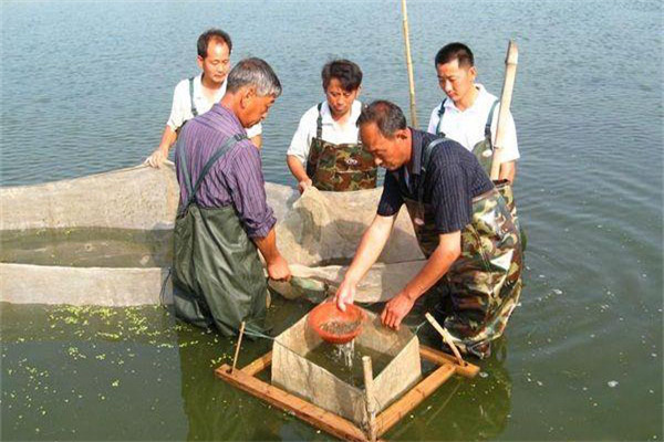 強化對餌料投喂的管理