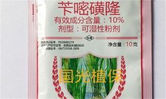 芐嘧磺隆的作用機(jī)制、使用方法與注意事項(xiàng)