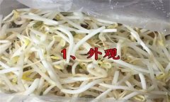 如何挑選豆芽？有根豆芽與無根豆芽有什么區(qū)別